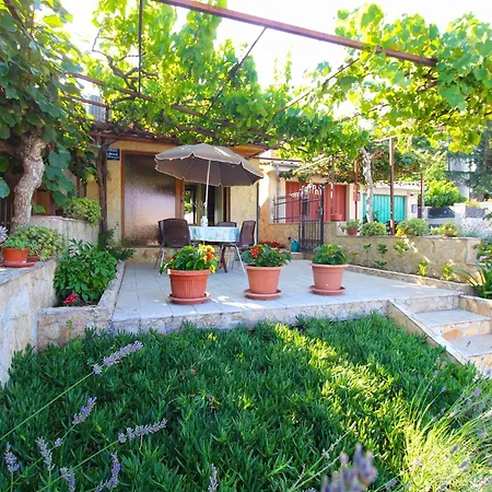 1462 Appartement Pula