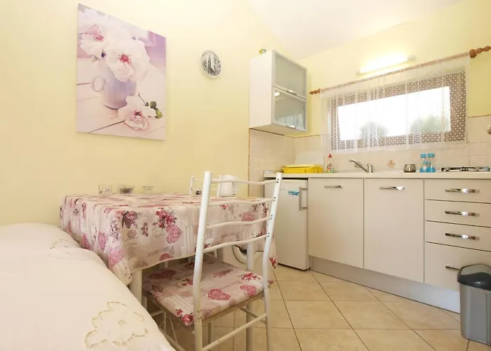 1462 Apartamento Pula